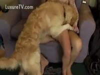 [ Beastiality XXX DVD ] Horny whore drilled by fluffy dog